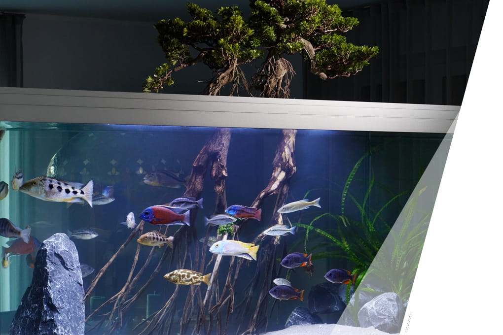 22cm LED Aquarium Lampe 3 Lichtmodi Tank Garten & Heimwerken Tierbedarf Aquaristik Aquarien-Technik Aquarien Beleuchtung 
