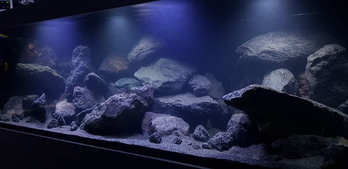 Aquarium 190x75x60